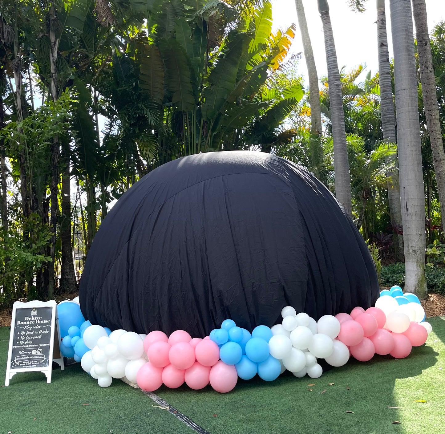 Gender reveal Bubble House | 10x16ft | All ages