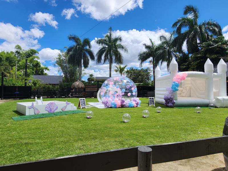 Big Ball Pit (8x8ft)